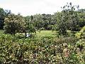 28 - Jardin des eaux 038